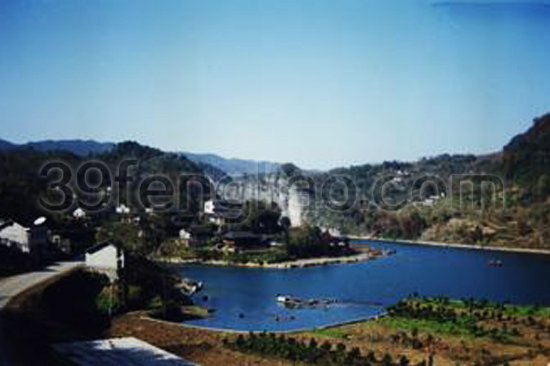 桑植縣舉辦蜜蜂養(yǎng)殖實用技術(shù)培訓(xùn)班 推動政策引進助力產(chǎn)業(yè)發(fā)展