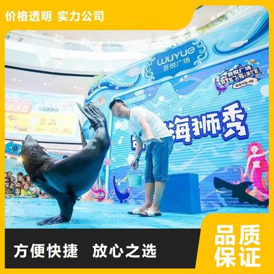 南安市分公司 專業出租表演鸚鵡，打造難忘動物展覽體驗